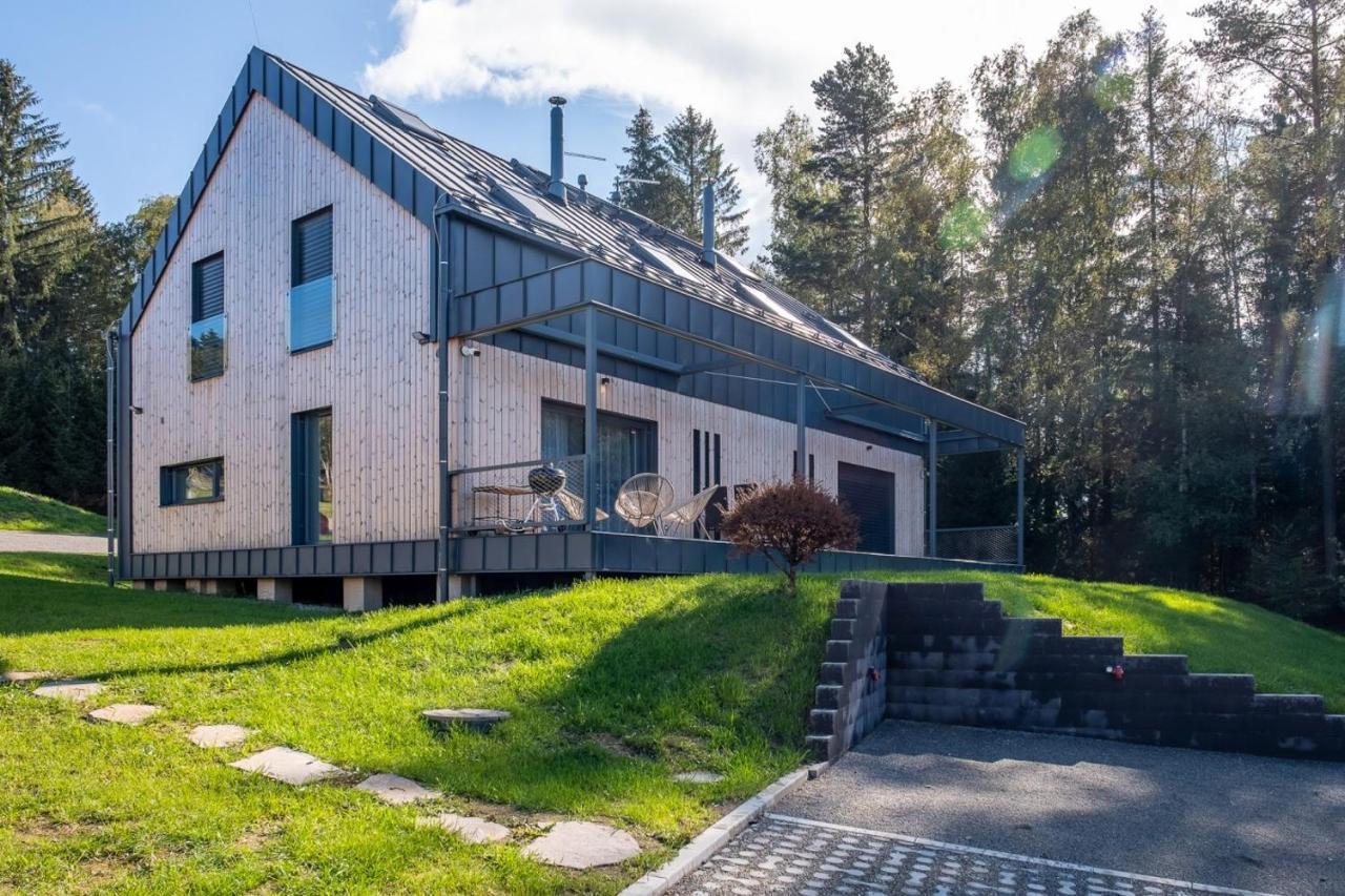 Holiday House U Hajenky 13P Lipno Home Lipno nad Vltavou Bagian luar foto